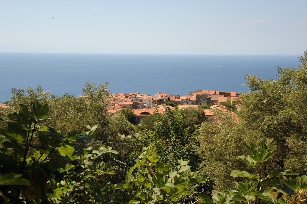 Agriturismo La Focazza Villa Ascea Buitenkant foto